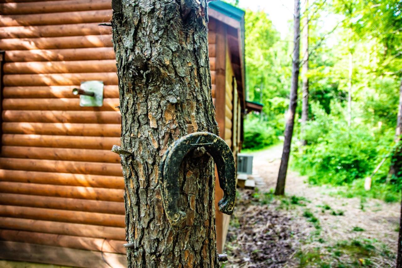 Avenwood Cabins لوغان المظهر الخارجي الصورة