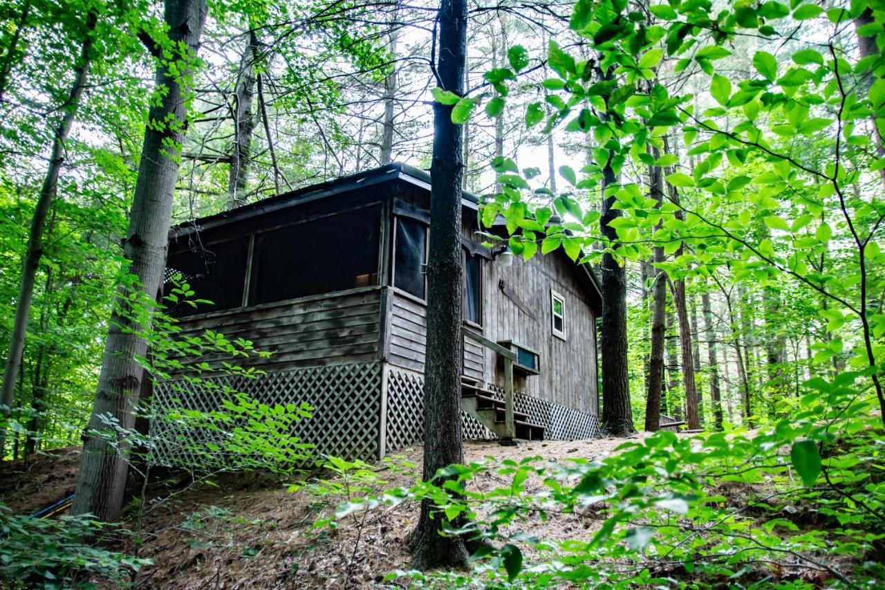 Avenwood Cabins لوغان المظهر الخارجي الصورة